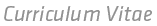 Lebenslauf