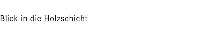 Blick in die Holzschicht