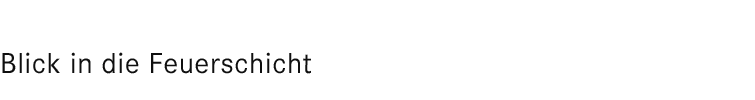 Blick in die Holzschicht