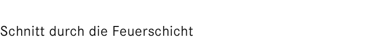 Blick in die Holzschicht