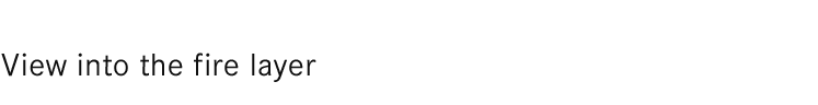 Blick in die Holzschicht